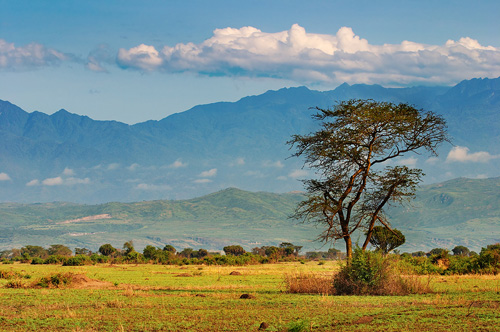 Queen Elizabeth National Park and Rwenzori Mountains